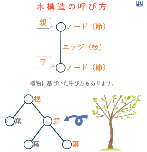 木構造の呼び方（テクノロジ系アルゴリズムとプログラミング36.データ構造）